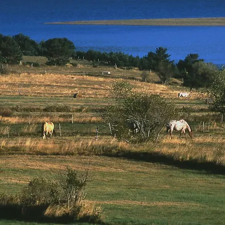 Equisud - Demi-pension Inclus